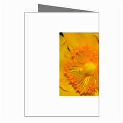 15 Greeting Card from ArtsNow.com Right