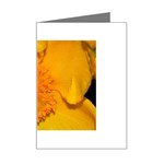 15 Mini Greeting Card