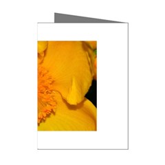 15 Mini Greeting Cards (Pkg of 8) from ArtsNow.com Left