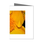 15 Mini Greeting Cards (Pkg of 8)