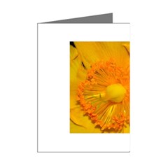 15 Mini Greeting Cards (Pkg of 8) from ArtsNow.com Right