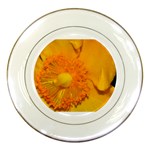 15 Porcelain Plate