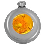 15 Hip Flask (5 oz)
