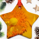 15 Star Ornament (Two Sides)