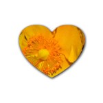 15 Rubber Coaster (Heart)