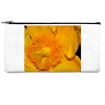 15 Pencil Case