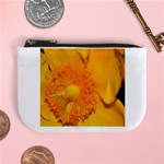 15 Mini Coin Purse