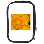 15 Compact Camera Leather Case