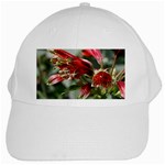 9 White Cap