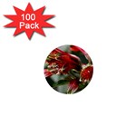 9 1  Mini Button (100 pack) 