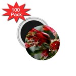 9 1.75  Magnet (100 pack) 