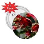 9 2.25  Button (10 pack)