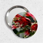 9 2.25  Handbag Mirror