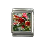 9 Italian Charm (13mm)