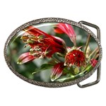 9 Belt Buckle