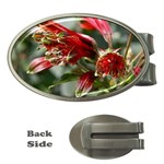 9 Money Clip (Oval)