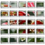 9 9mm Italian Charm (25 pack)