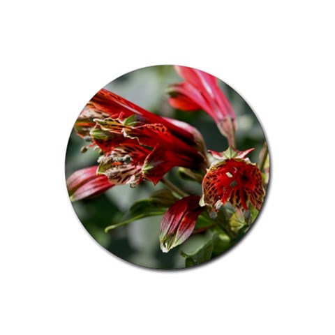 9 Rubber Round Coaster (4 pack) from ArtsNow.com Front
