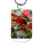 9 Dog Tag (One Side)