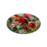 9 Sticker Oval (10 pack)