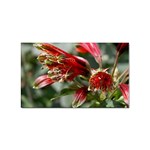 9 Sticker Rectangular (10 pack)