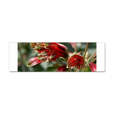 9 Sticker Bumper (100 pack) from ArtsNow.com Front