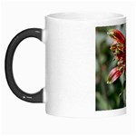 9 Morph Mug