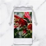 9 Jewelry Bag