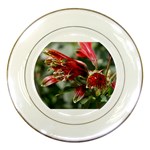 9 Porcelain Plate