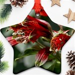 9 Star Ornament (Two Sides)