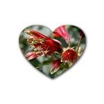 9 Heart Coaster (4 pack)