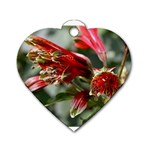 9 Dog Tag Heart (Two Sides)