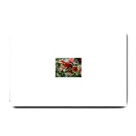 9 Small Doormat