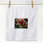 9 Face Towel