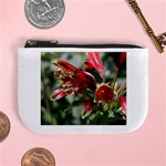 9 Mini Coin Purse