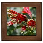 9 Framed Tile