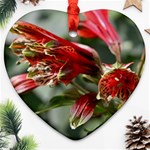 9 Ornament (Heart)