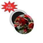 9 1.75  Magnet (10 pack) 
