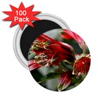9 2.25  Magnet (100 pack) 