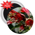 9 3  Magnet (10 pack)