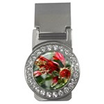 9 Money Clip (CZ)