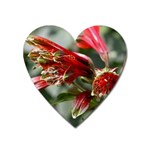 9 Magnet (Heart)