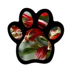 9 Magnet (Paw Print)