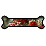 9 Magnet (Dog Bone)