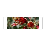 9 Sticker Bumper (10 pack)