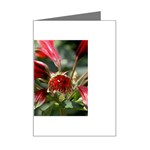 9 Mini Greeting Card