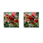 9 Cufflinks (Square)