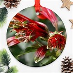 9 Round Ornament (Two Sides)
