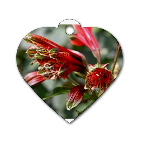 9 Dog Tag Heart (One Side) from ArtsNow.com Front