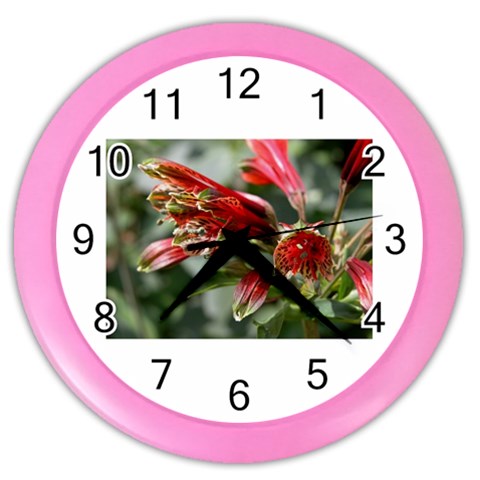 9 Color Wall Clock from ArtsNow.com Front